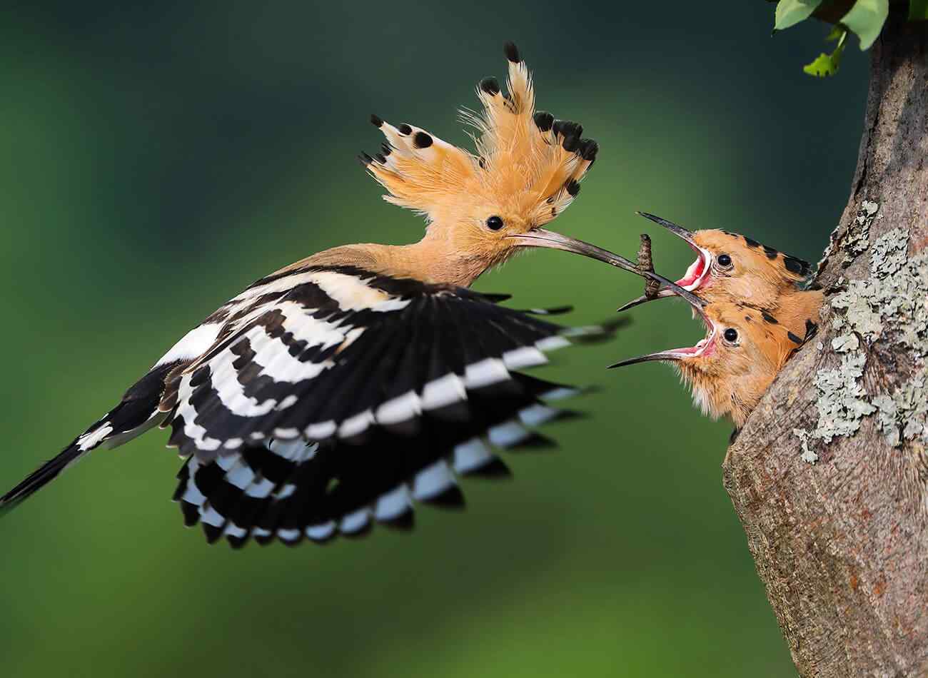 http://www.ioosky.com/wp-content/uploads/2022/03/image_inner_02.jpg